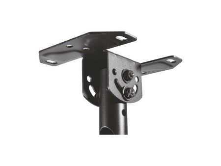 Uchwyt na TV Aisens CT43TSE-053 23-42" 50 kg