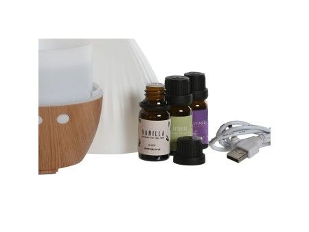 Dyfuzor Olejków Eterycznych Home ESPRIT Miejska 10 ml (4 Części)