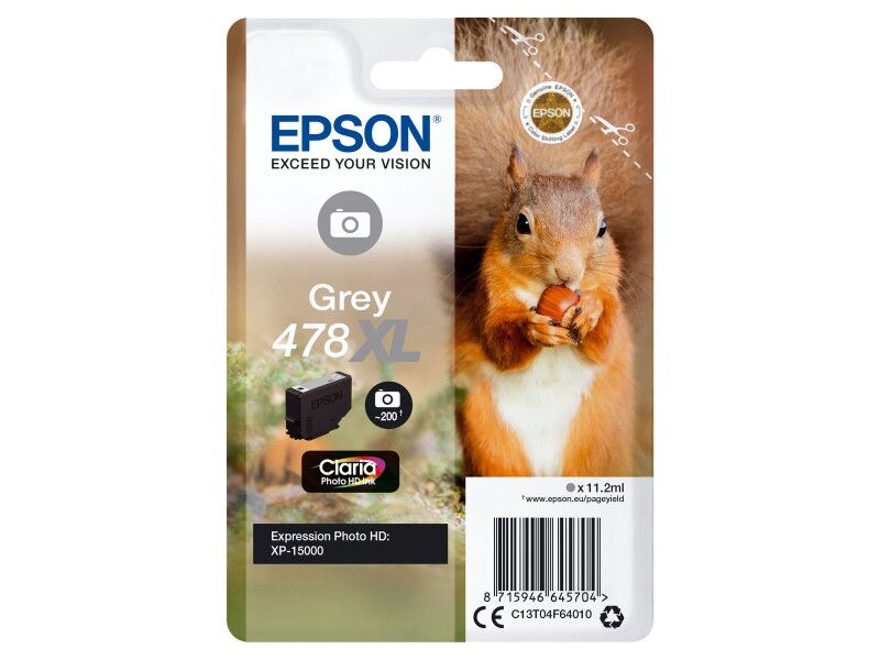 Oryginalny Wkład Atramentowy Epson C13T04F64010 Szary