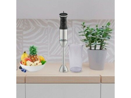 Mikser z Tworzywa Sztucznego Blaupunkt BP4006