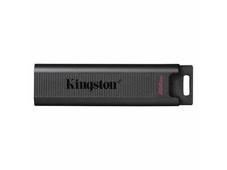 Pamięć USB Kingston DTMAX/256GB Czarny 256 GB