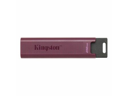 Pamięć USB   Kingston Max         Czerwony 256 GB  