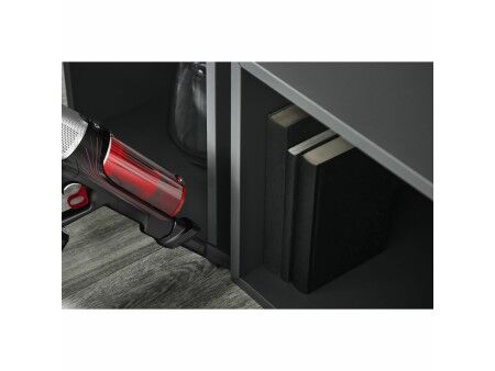 Odkurzacz Szczotka Rowenta RH2077WO Czarny/Czerwony 100 W