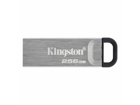 Pamięć USB Kingston DTKN/256GB Czarny 256 GB