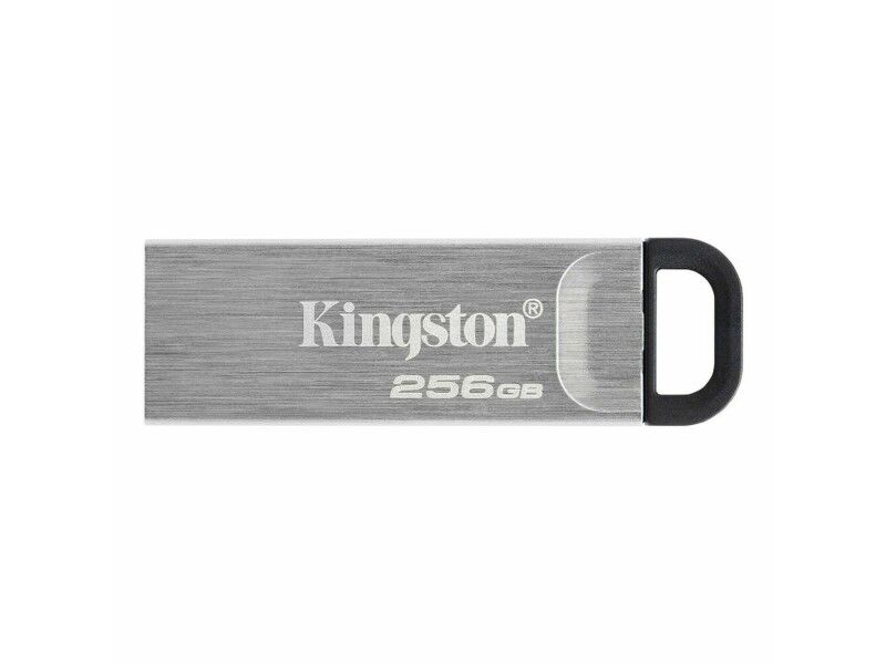 Pamięć USB Kingston DTKN/256GB Czarny 256 GB