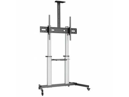 Uchwyt na TV Aisens FT100TE-259 100 kg 60" 100"