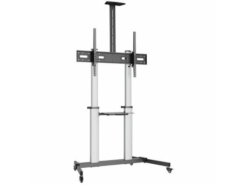 Uchwyt na TV Aisens FT100TE-259 100 kg 60" 100"
