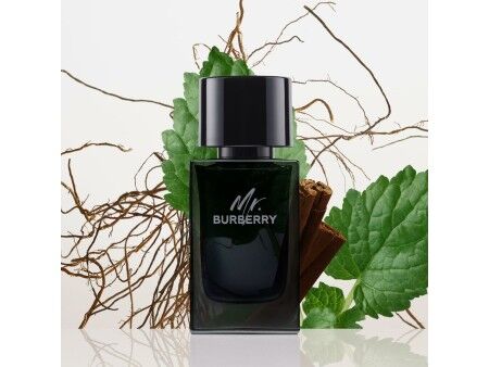 Perfumy Męskie Burberry Mr. Burberry 100 ml