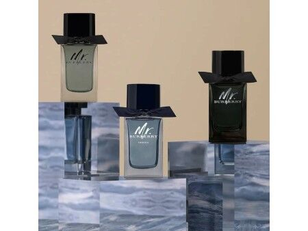 Perfumy Męskie Burberry Mr. Burberry 100 ml
