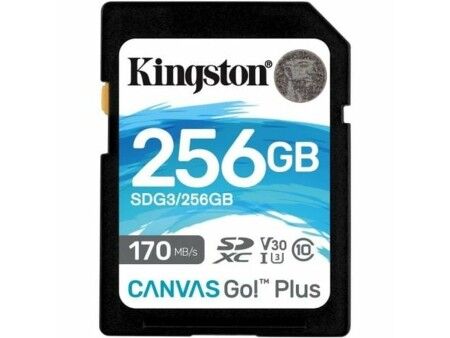 Karta Pamięci SD Kingston SDG3/256GB 256 GB