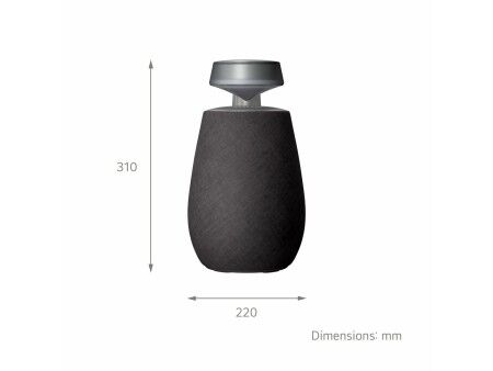 Głośnik Bluetooth Przenośny LG XG2TBK Czarny 5 W
