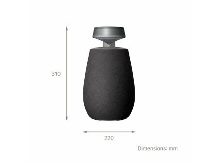 Głośnik Bluetooth Przenośny LG XG2TBK Czarny 5 W