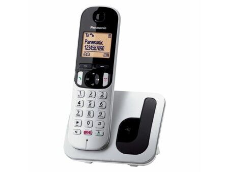 Telefon Bezprzewodowy Panasonic KX-TGC250SPS Szary Srebro