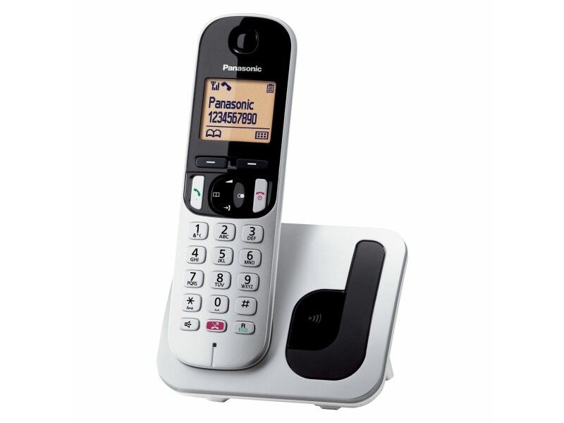 Telefon Bezprzewodowy Panasonic KX-TGC250SPS Szary Srebro
