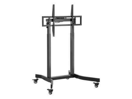 Uchwyt na TV Aisens FTF100E-271 55" 100"