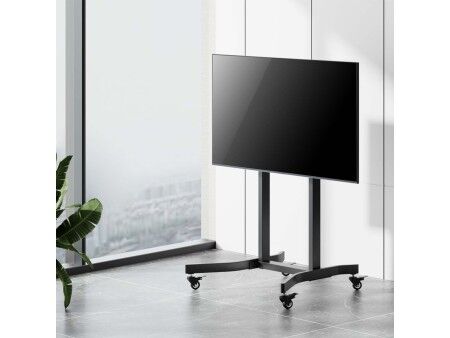 Uchwyt na TV Aisens FTF100E-271 55" 100"