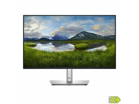 Monitor Dell P2425H Full HD 24" 100 Hz