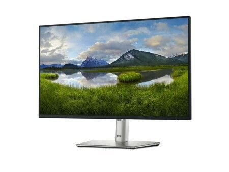 Monitor Dell P2425H Full HD 24" 100 Hz
