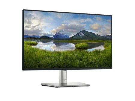 Monitor Dell P2425H Full HD 24" 100 Hz