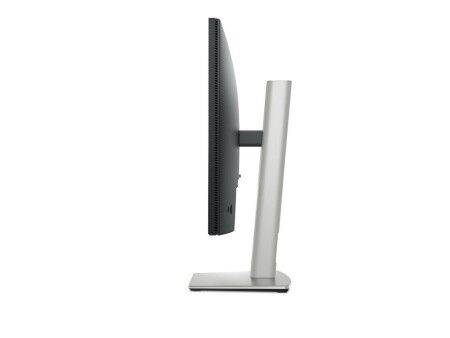 Monitor Dell P2425H Full HD 24" 100 Hz