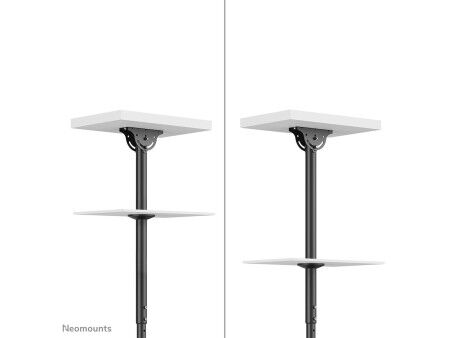 Uchwyt Stołowy do Monitora Neomounts CL35-340BL22 42" 23"-42" 43"