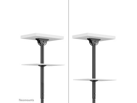 Uchwyt Stołowy do Monitora Neomounts CL35-440BL16L 70" 37" 50 kg