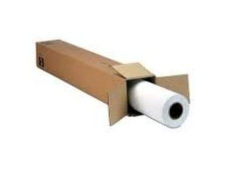 Papier do Drukarki Epson C13S042377 (1 Sztuk)