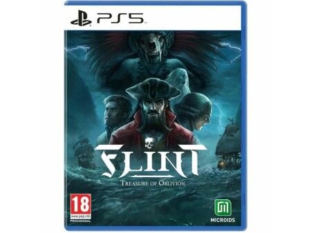 Gra wideo na PlayStation 5 Microids Flint: Treasure Oblivion Limited Edition