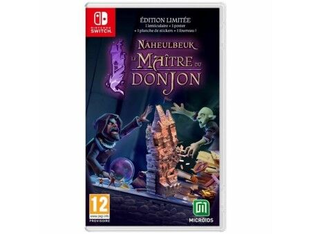 Gra wideo na Switcha Microids The Dungeon Master of Naheulbeuk