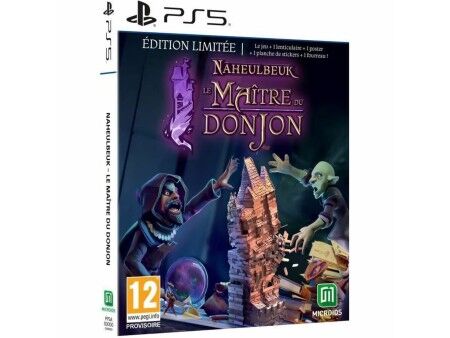 Gra wideo na PlayStation 5 Microids Naheulbeuk : Le Maitre Du Donjon