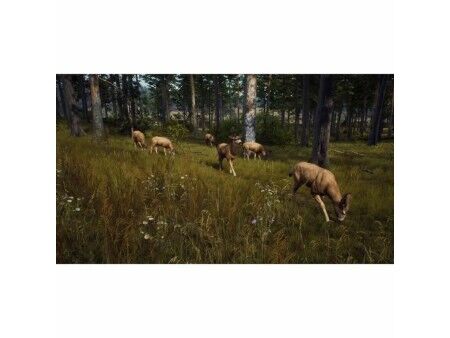 Gra wideo na PlayStation 5 THQ Nordic Way of the Hunter Wild Expeditions (FR)