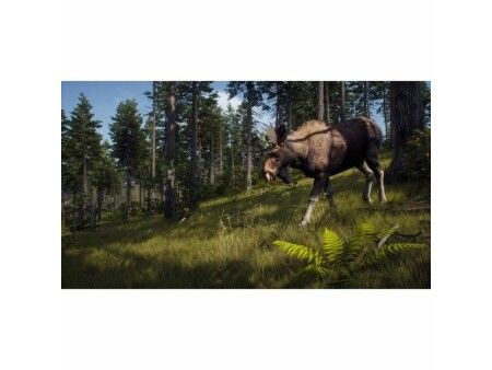 Gra wideo na PlayStation 5 THQ Nordic Way of the Hunter Wild Expeditions (FR)