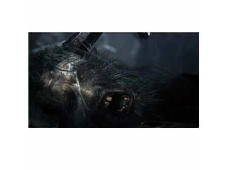 Gra wideo na PlayStation 4 Sony Bloodborne PlayStation Hits