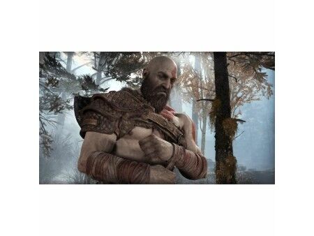 Gra wideo na PlayStation 4 Santa Monica Studio Gof of War Playstation Hits