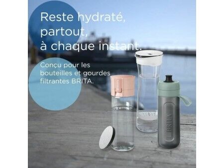 Water filter Brita MicroDisc