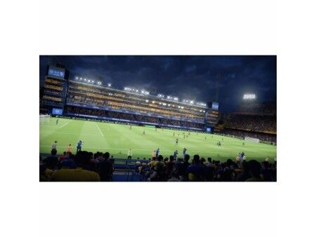 Gra wideo na Switcha Electronic Arts FC25
