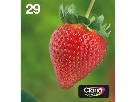 Oryginalny Wkład Atramentowy Epson Multipack 4-colours 29 EasyMail