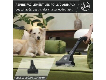 Odkurzacz Hoover HE120PET 011 Czarny Szary 700 W