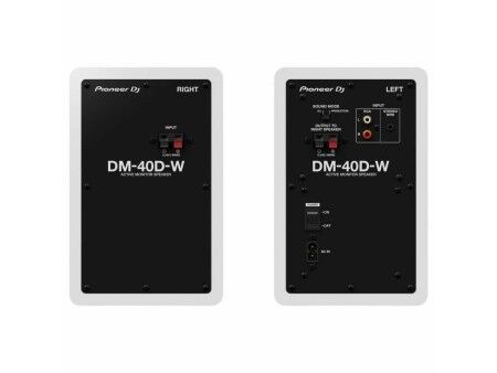 Głośniki Pioneer DJ DM-40D-W