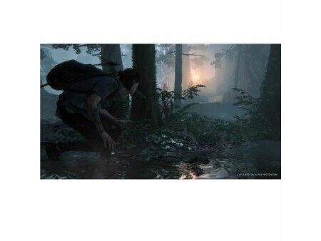 Gra wideo na PlayStation 4 Naughty Dog The Last of Us: Part 2