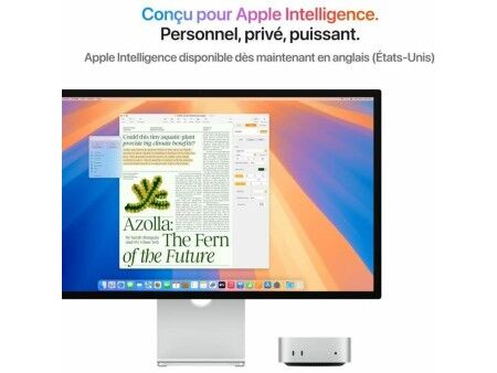 Mini PC Apple Mac Mini 16 GB RAM 256 GB SSD M4