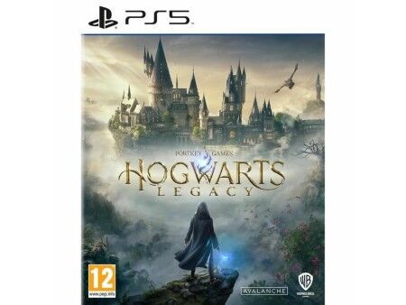 Gra wideo na PlayStation 5 Warner Games Hogwarts Legacy: The legacy of Hogwarts