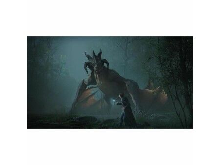 Gra wideo na PlayStation 5 Warner Games Hogwarts Legacy: The legacy of Hogwarts