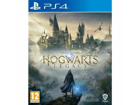 Gra wideo na PlayStation 4 Warner Games Hogwarts Legacy: The legacy of Hogwarts 