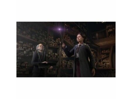 Gra wideo na PlayStation 4 Warner Games Hogwarts Legacy: The legacy of Hogwarts 