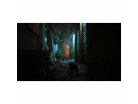 Gra wideo na Switcha Just For Games Stray