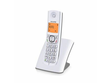 Telefon Bezprzewodowy Alcatel F530SG Szary Biały/Szary