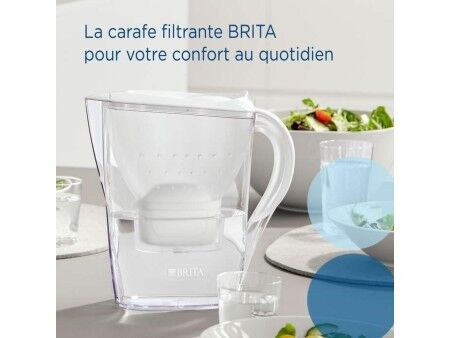 Water filter Brita MAXTRA PRO