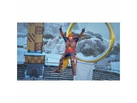 Gra wideo na Switcha Warner Games Harry Potter : Champions de Quidditch