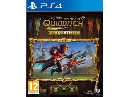 Gra wideo na PlayStation 4 Warner Games Harry Potter: Quidditch Champions